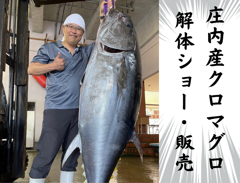 さばきたての美味しさを、内陸で！6/28に 庄内産クロマグロの解体ショー・販売を行います！