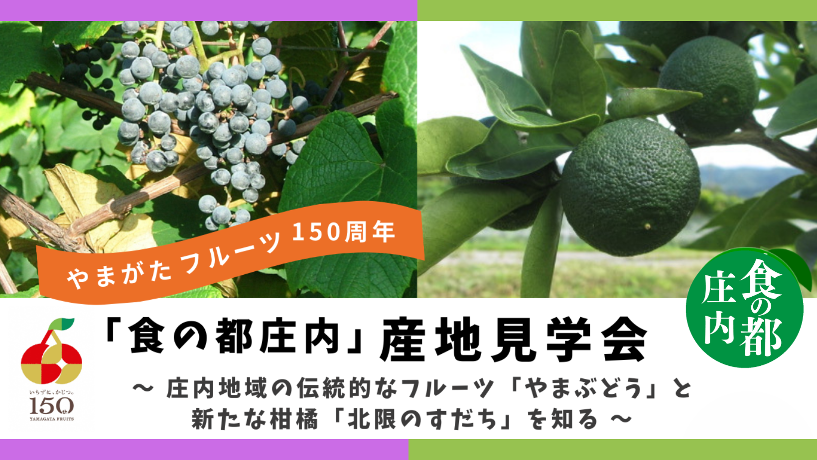 【参加者募集】「食の都庄内」産地見学会を開催します～「やまぶどう」＆「北限のすだち」～