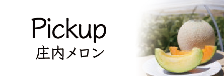 庄内砂丘メロンレシピ