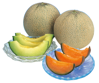 Shonai sand dune melons