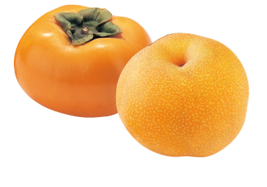 Shonai persimmons and Kariya pears