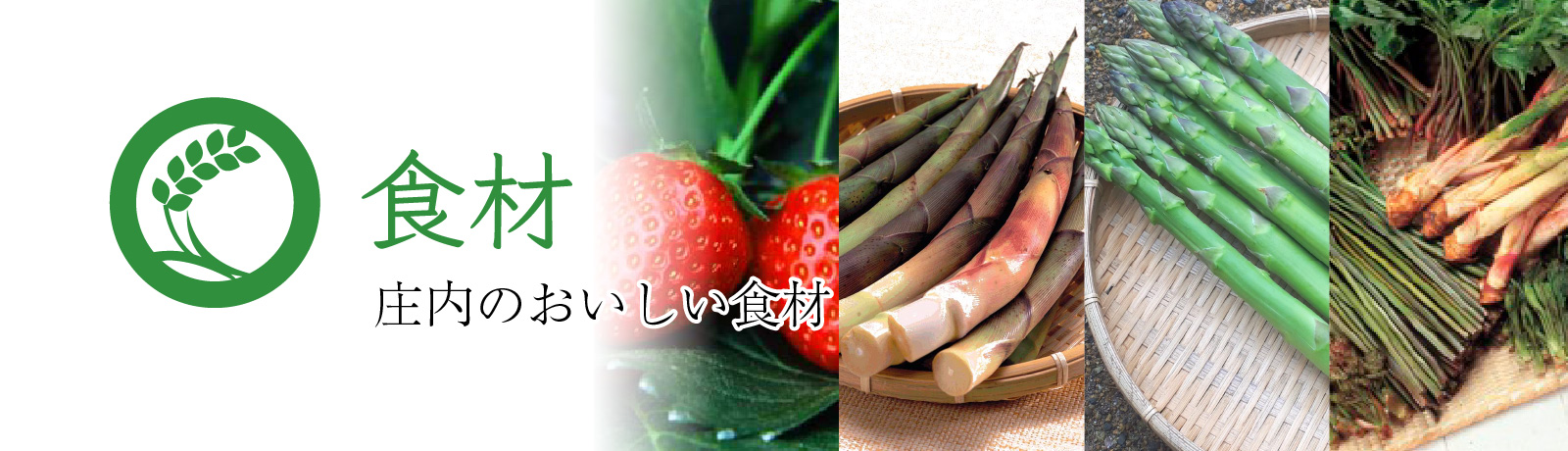 サクラマス 食材 春の食材 食の都 庄内 山形県庄内のおいしい食材と産地と観光スポット